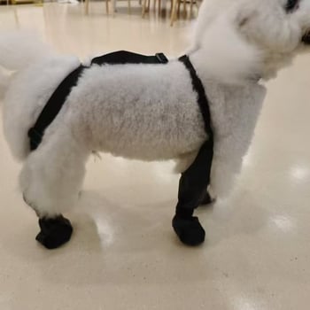 Kültéri kutyacipő – négy évszakos, légáteresztő, vízálló, csúszásmentes, szintetikus bőr