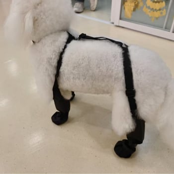 Kültéri kutyacipő – négy évszakos, légáteresztő, vízálló, csúszásmentes, szintetikus bőr