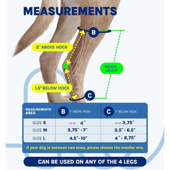 Kutyák hátsó lábának rehabilitációs hüvely Velcro-vel, szilikonnal és fishbone acéllel – posztoperatív láb támogató