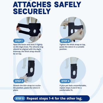 Kutyák hátsó lábának rehabilitációs hüvely Velcro-vel, szilikonnal és fishbone acéllel – posztoperatív láb támogató