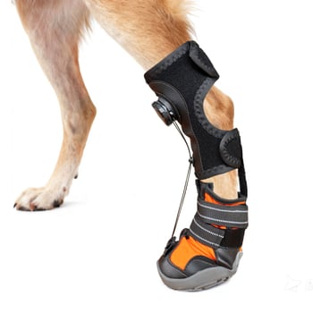 Kutyacipő gumiból, légáteresztő, vízálló, csúszásmentes, kopásálló