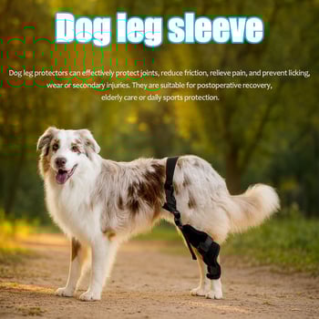Kutya hátsó lábvédő készlet — térdvédő és ízületi védőöv (Anyag: poliészter rost; Cikkszám: K031; Alkalmas: kutyák; Funkció: ízületi védelem)