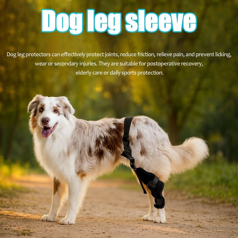 Kutya hátsó lábvédő készlet — térdvédő és ízületi védőöv (Anyag: poliészter rost; Cikkszám: K031; Alkalmas: kutyák; Funkció: ízületi védelem)