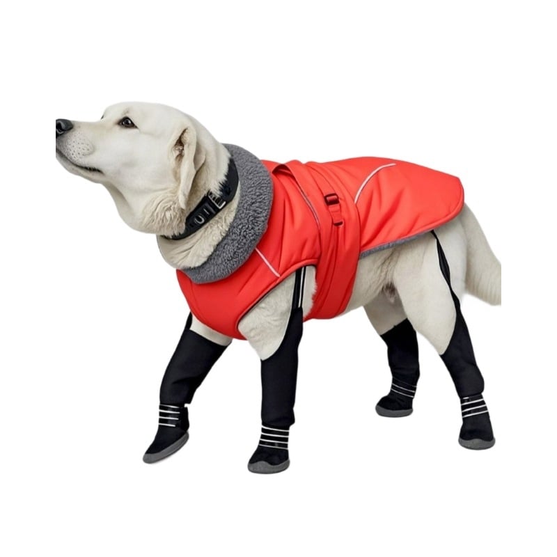 Kutyacipő reflexiós csíkkal, merev talpú, vízálló, csúszásmentes, kopásálló