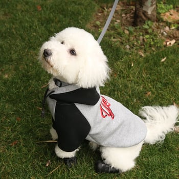 MAYCHAN kutya cipő – PU anyag, meleg, laza stílus