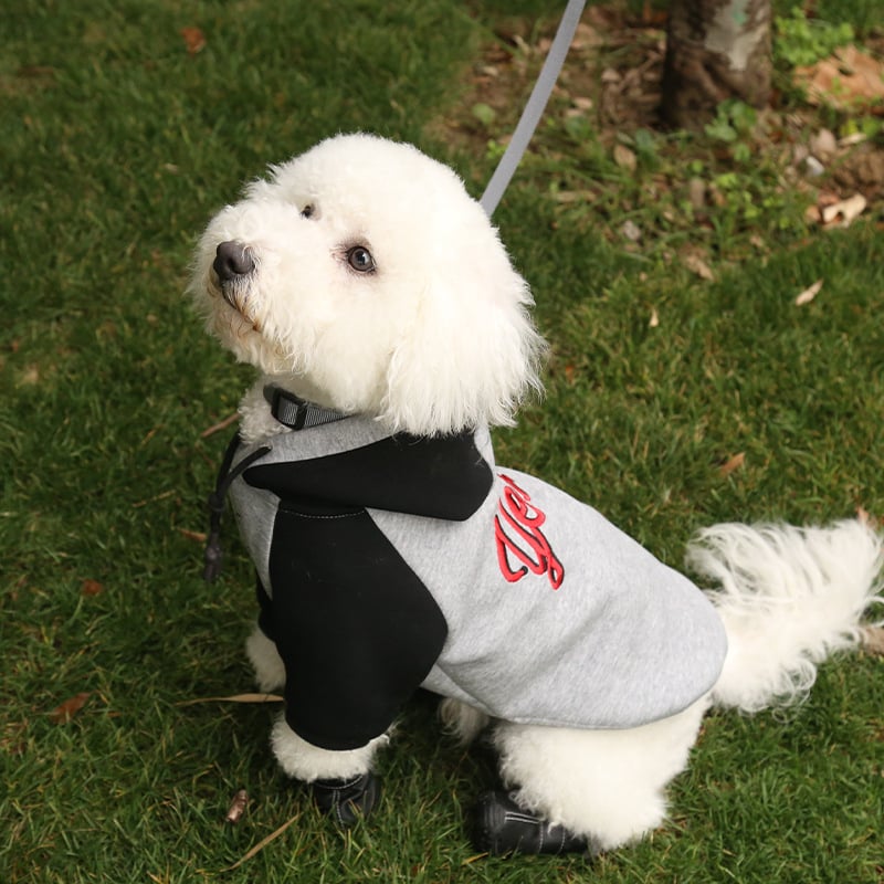 MAYCHAN kutya cipő – PU anyag, meleg, laza stílus