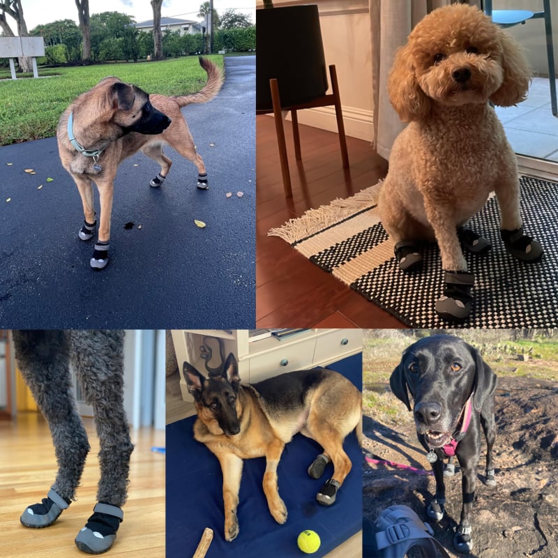 LovitWear kutyacipők, gumi anyag, vízálló, csúszásmentes, kopásálló