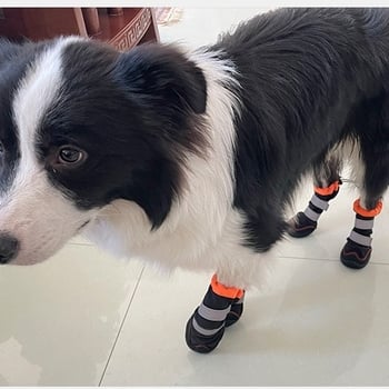 Kutyacipő - Magas bakancs-stílus, Csúszásmentes, Vízálló, Megőrzi a meleget, Poliészter