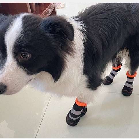 Kutyacipő - Magas bakancs-stílus, Csúszásmentes, Vízálló, Megőrzi a meleget, Poliészter