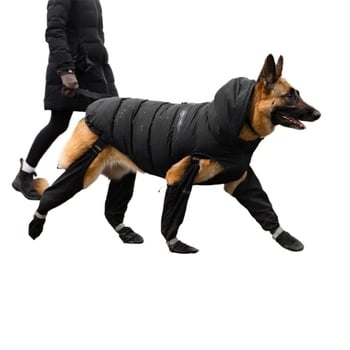 Kutyacipők — Silk Flower anyag, Kutyák számára, Univerzális stílus, Eredet: Egyéb