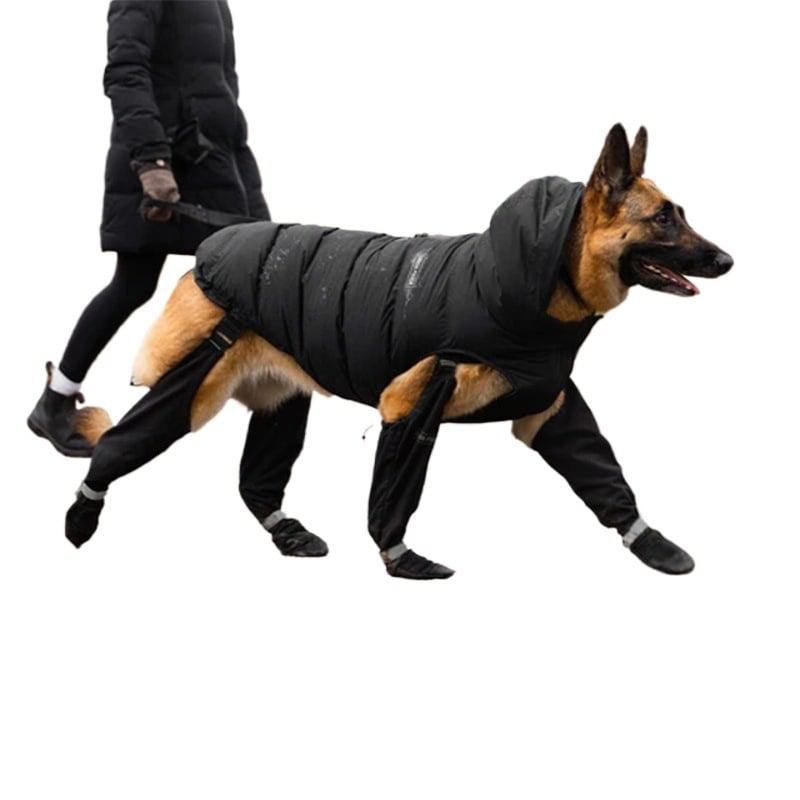 Kutyacipők — Silk Flower anyag, Kutyák számára, Univerzális stílus, Eredet: Egyéb