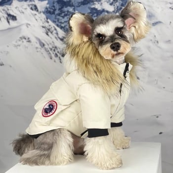 Changwo macskaruha - gumiból készült, meleg, macskáknak