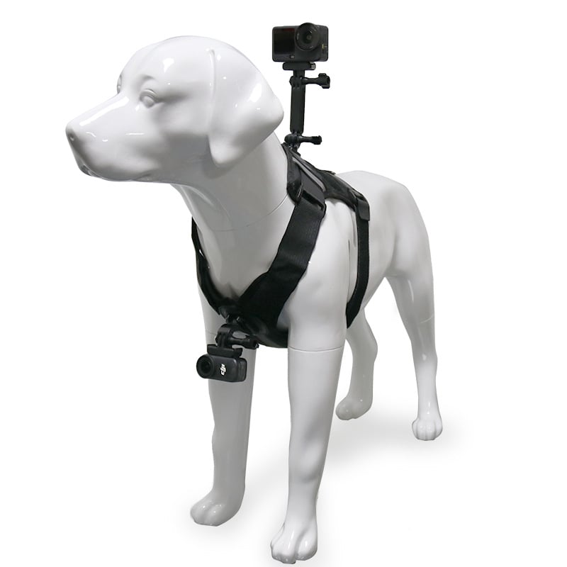 GoPro kutya hát-/mellkas kamera rögzítőpánt – univerzális kompatibilitás, ABS anyag, 360 dimenzió, logó hozzáadható