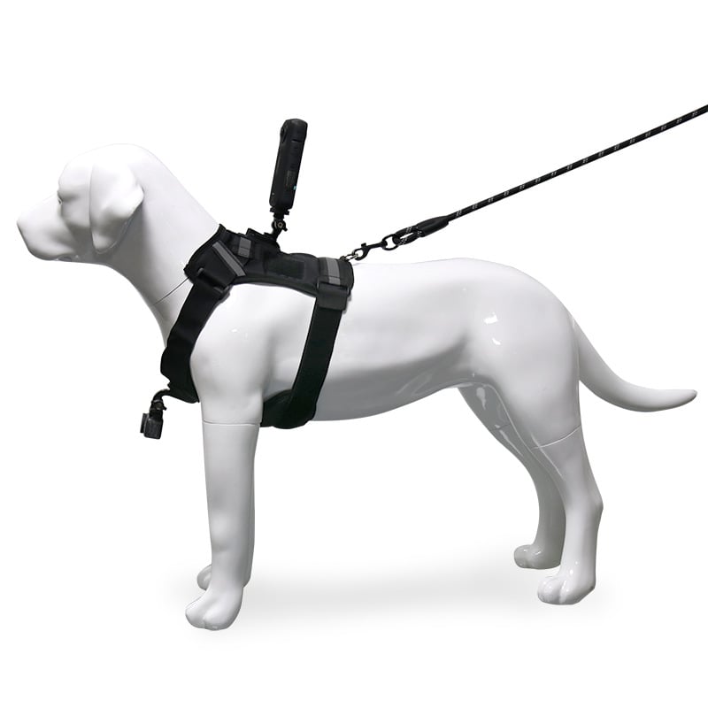 GoPro kutya hát-/mellkas kamera rögzítőpánt – univerzális kompatibilitás, ABS anyag, 360 dimenzió, logó hozzáadható