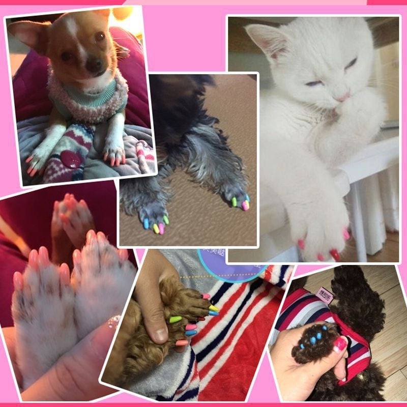 Macskáknak szánt körömvédő sapkák, karcolás elleni, gumiból