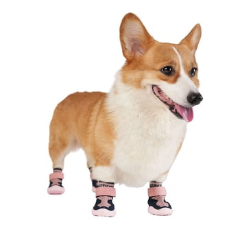 LOVOYAGER Kutyapakik - Légáteresztő kötött anyag, kopásálló, csúszásmentes, kicsi és közepes testű kutyáknak, japán-koreai stílus