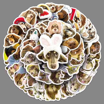 Sticker készlet: 50 darab dachshund graffiti matricák telefon- és tabletvédőhöz, ins stílus, 15 g darabonként, Cool-Look márka.