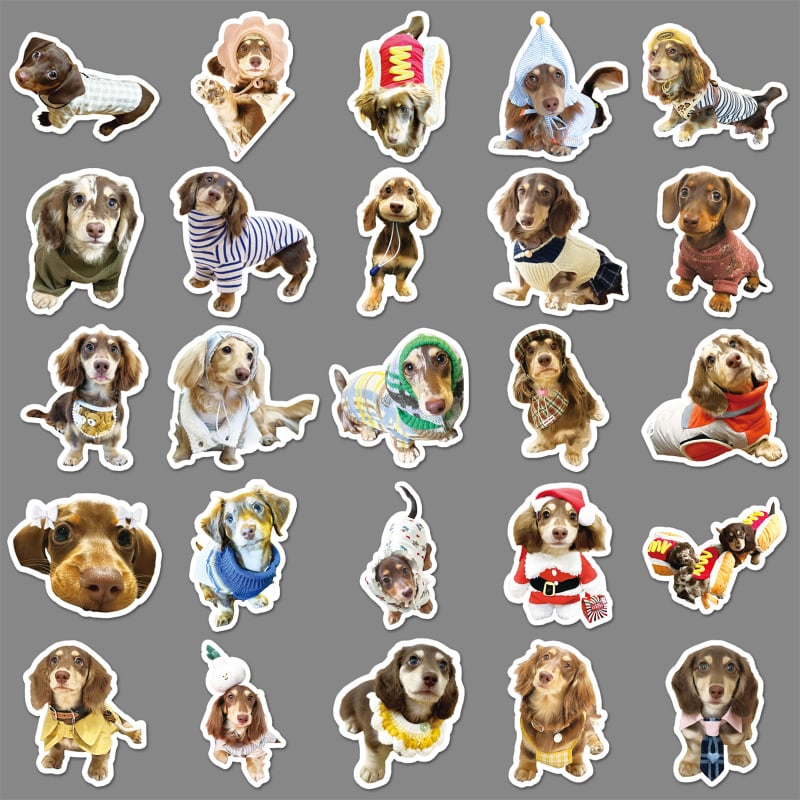 Sticker készlet: 50 darab dachshund graffiti matricák telefon- és tabletvédőhöz, ins stílus, 15 g darabonként, Cool-Look márka.