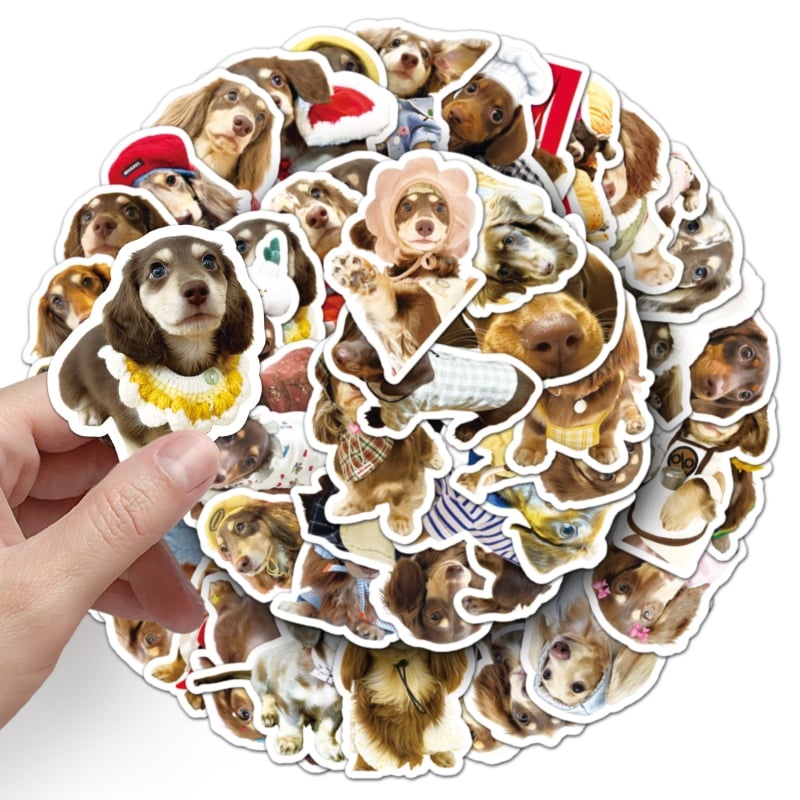 Sticker készlet: 50 darab dachshund graffiti matricák telefon- és tabletvédőhöz, ins stílus, 15 g darabonként, Cool-Look márka.