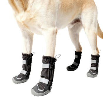 Kutyacipő gumiból: csúszásmentes, kopásálló, vízálló, melegen tartó, őszi-téli kültéri tevékenységekhez