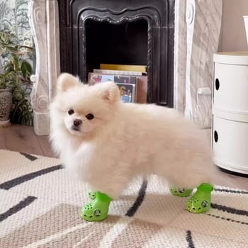 Kutyáknak esőcsizma — EVA anyagú, vízálló, csúszásmentes, kopásálló, puha talp