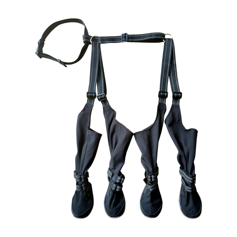 Gumi kutyacipő: vízálló, csúszásmentes, meleg és kopásálló