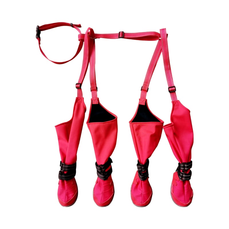 Gumi kutyacipő: vízálló, csúszásmentes, meleg és kopásálló