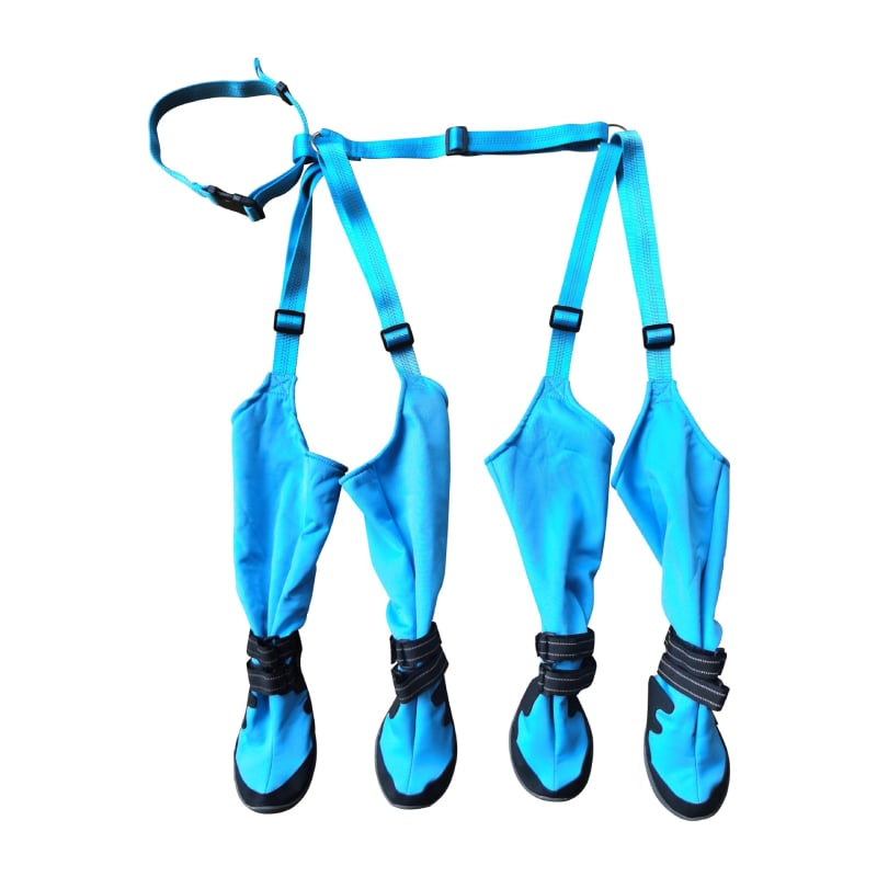 Gumi kutyacipő: vízálló, csúszásmentes, meleg és kopásálló