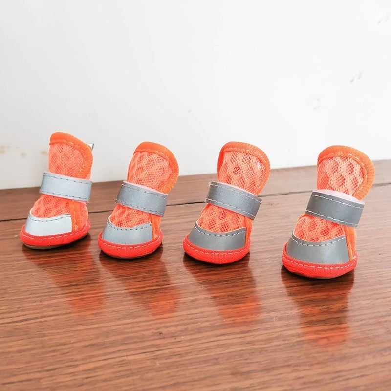 Xiaoduo kutyacipő - ötvözet anyag, univerzális felhasználás, Funkció: Egyéb