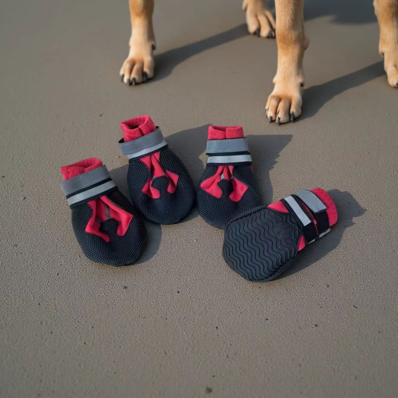 Puha talpú kutya cipő gumiból – csúszásmentes, kopásálló, 4 darabos készlet