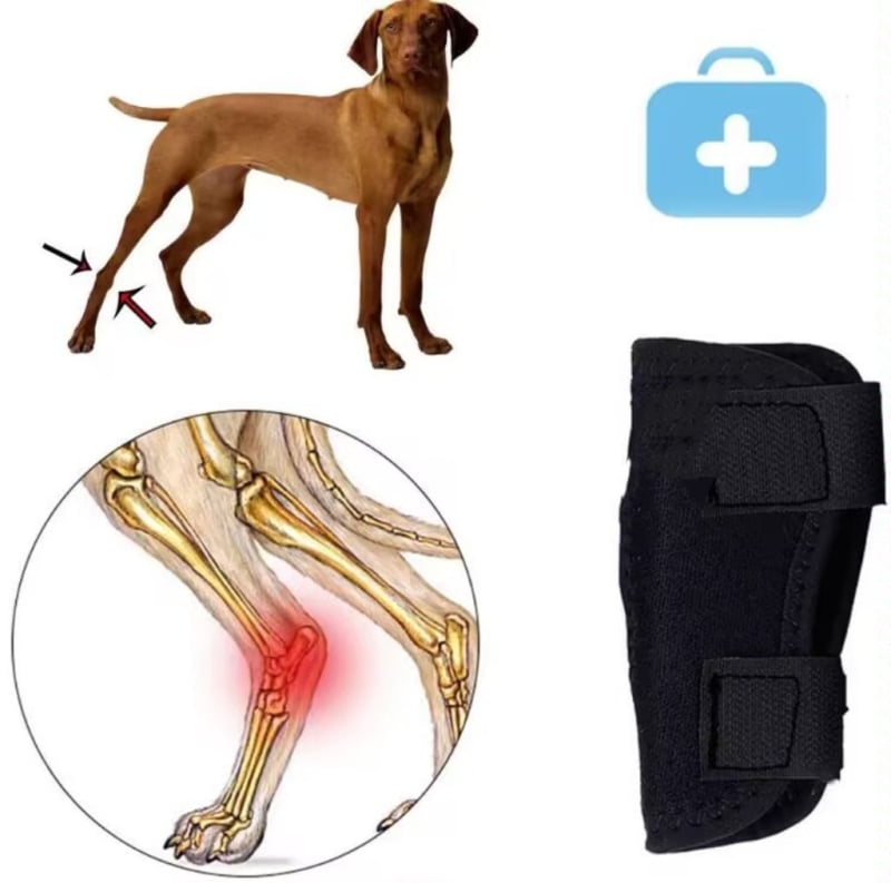 Kutya láb fixpánt posztoperatív támogatáshoz, univerzális használat, anyag: diving material, származás: Shandong