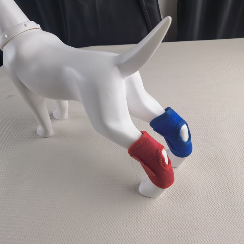 Kutya láb fixpánt posztoperatív támogatáshoz, univerzális használat, anyag: diving material, származás: Shandong