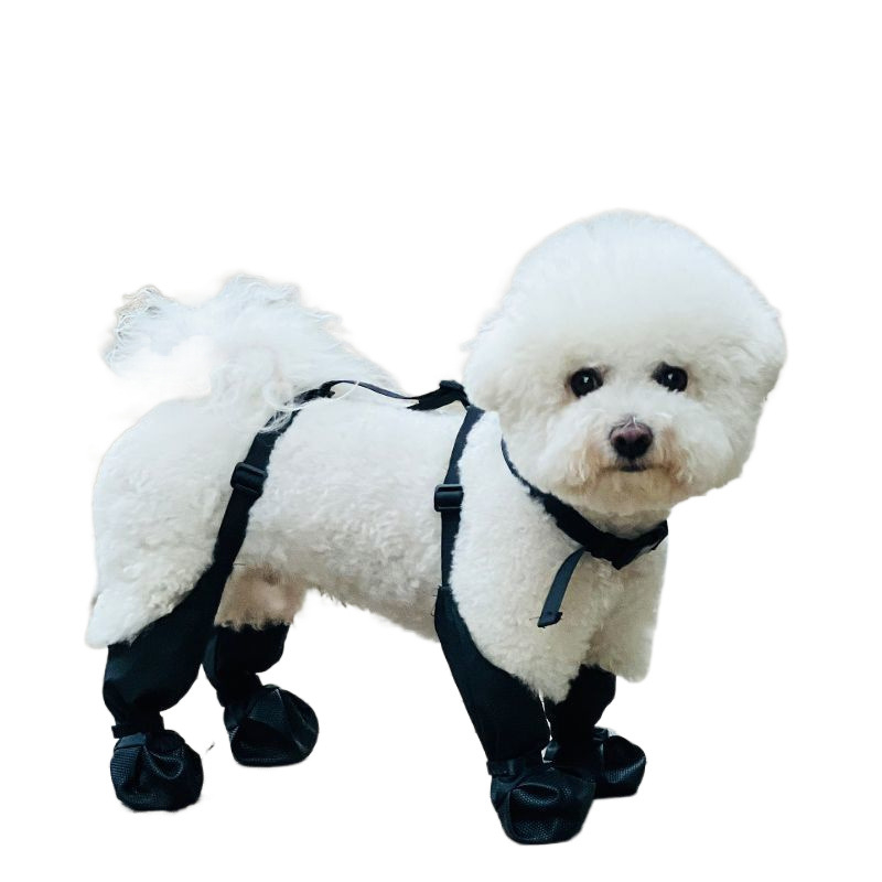 Kutyás esőcipő — vízálló, csúszásmentes, kopásálló, négy évszakos; anyag: ötvözet; márka: Powerful merchant