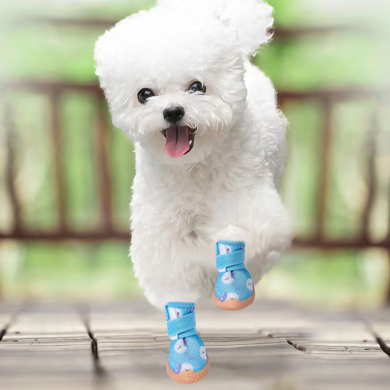 Gumi kutyacipő általános használatra, pastoral stílus