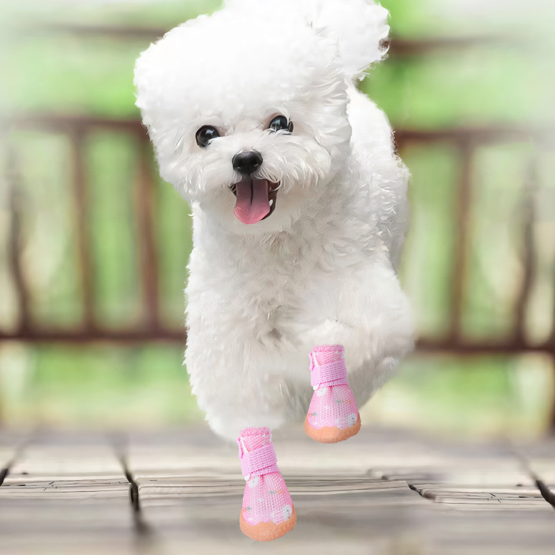 Gumi kutyacipő általános használatra, pastoral stílus