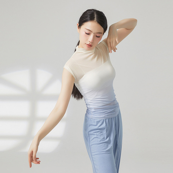 Női etno-tánc felső, hálóanyag, 95% poliészter, egész éves viselet, alkalmas latin és etno táncokra