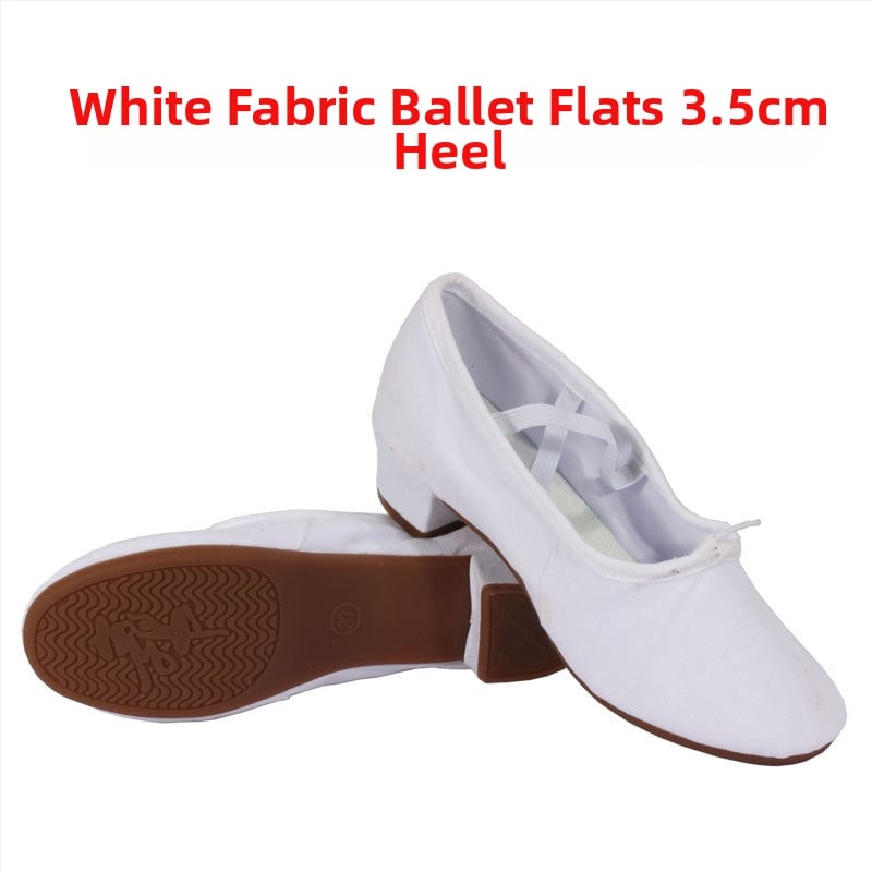 Pantofi de dans - Pantofi de antrenament cu talpă moale pentru femei adulte, talpă din cauciuc, vârf din pânză, balet / dans modern / dans latino