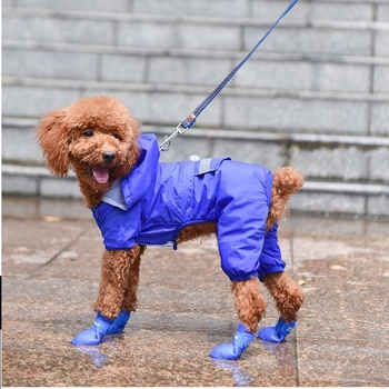 Kutya esőcsizmák – vízálló lábbeli, szabadidős stílus, univerzális használat
