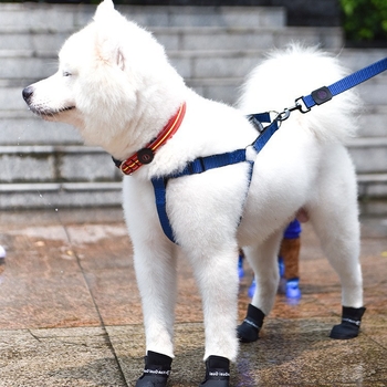 Kutya esőcsizmák – vízálló lábbeli, szabadidős stílus, univerzális használat