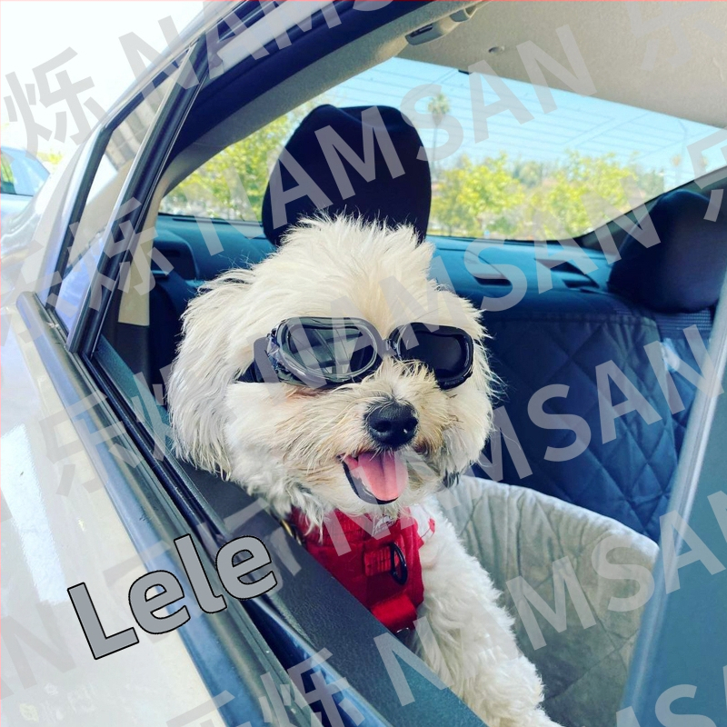 NAMSAN háziállat szemüveg, PC anyag, Ékszerek, Funkció 33128358975, Univerzális illeszkedés