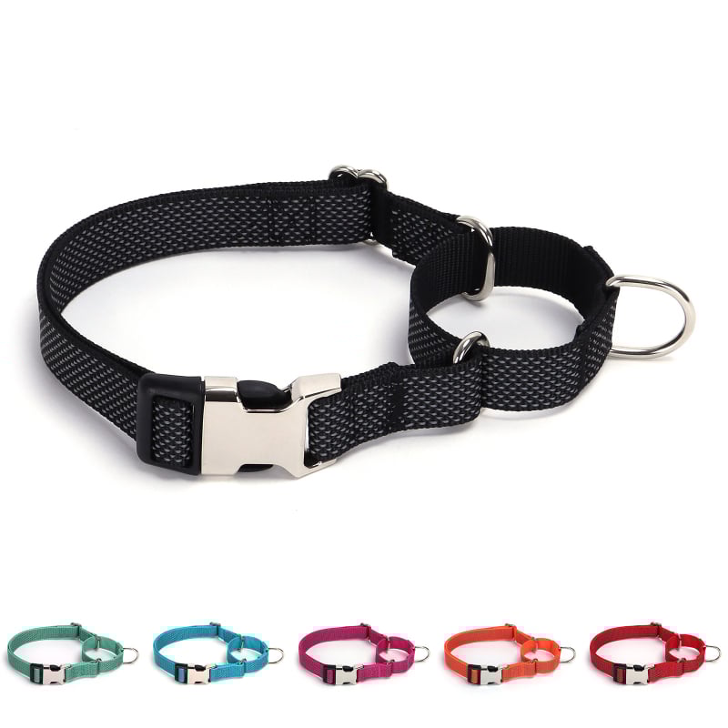 Lesă pentru câini Martingale din nylon cu stea reflectorizantă și nume gravat