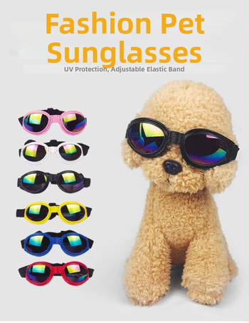 Kanazawa kutyaszemüveg – antireflex, szélálló, vízálló, összecsukható, műanyag modell JZ158