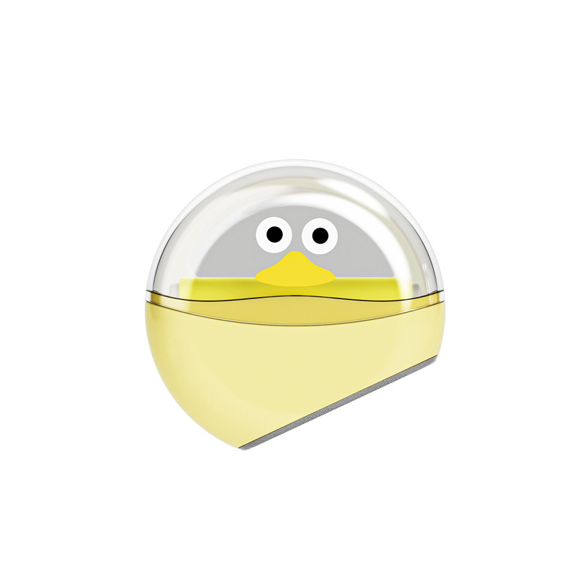 Roler za vlasinke – plastični, marka Yinuo, moderni stil i jednostavnost, lansiran u jeseni 2014