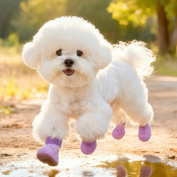 Încălțăminte EVA pentru câini, respirabilă, anti-derapaj, stil casual