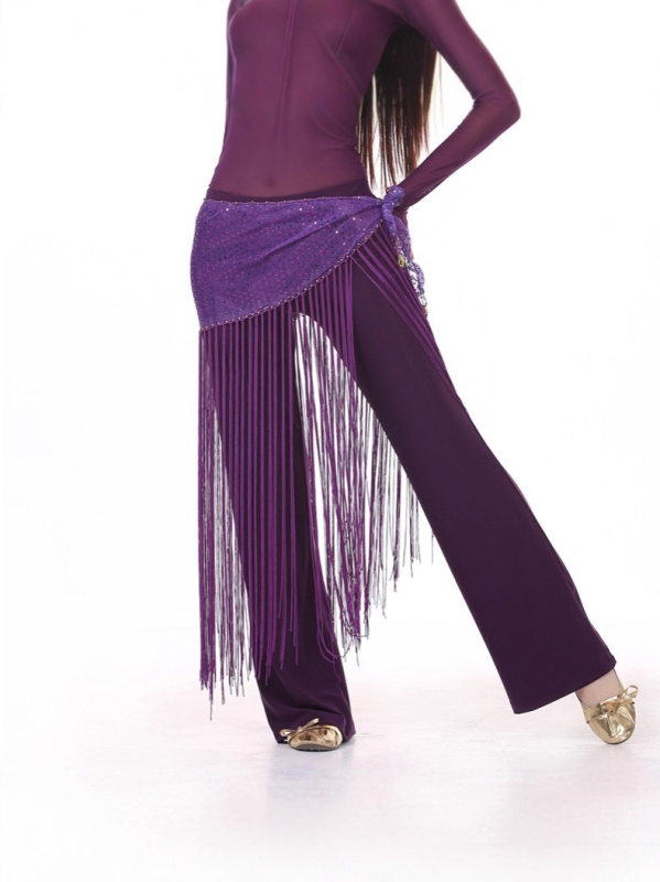 Bojasti pojas s resicama i izvezom — Indijski plesni kostim, trodijelni probni komplet, poliester tkanina