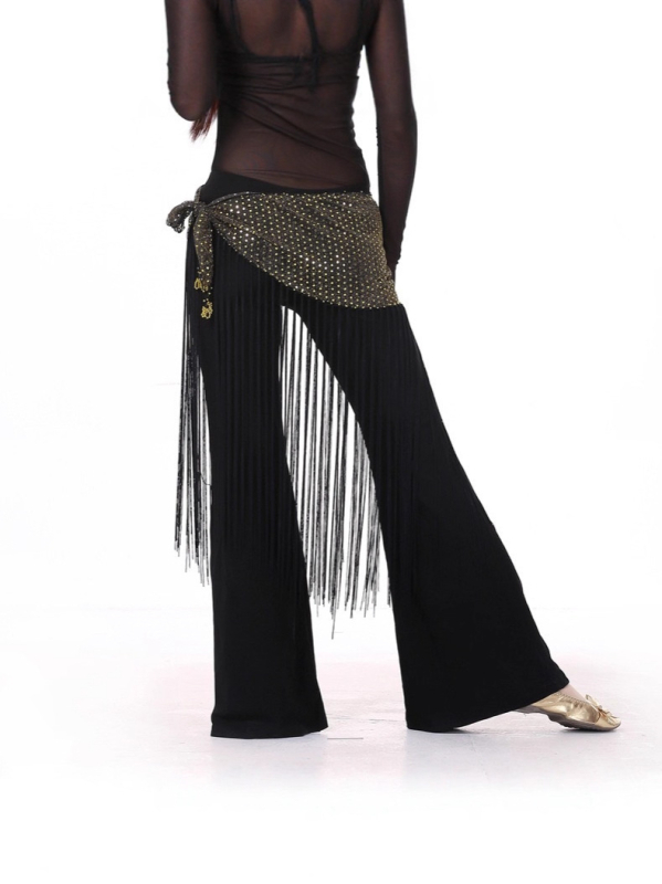 Bojasti pojas s resicama i izvezom — Indijski plesni kostim, trodijelni probni komplet, poliester tkanina