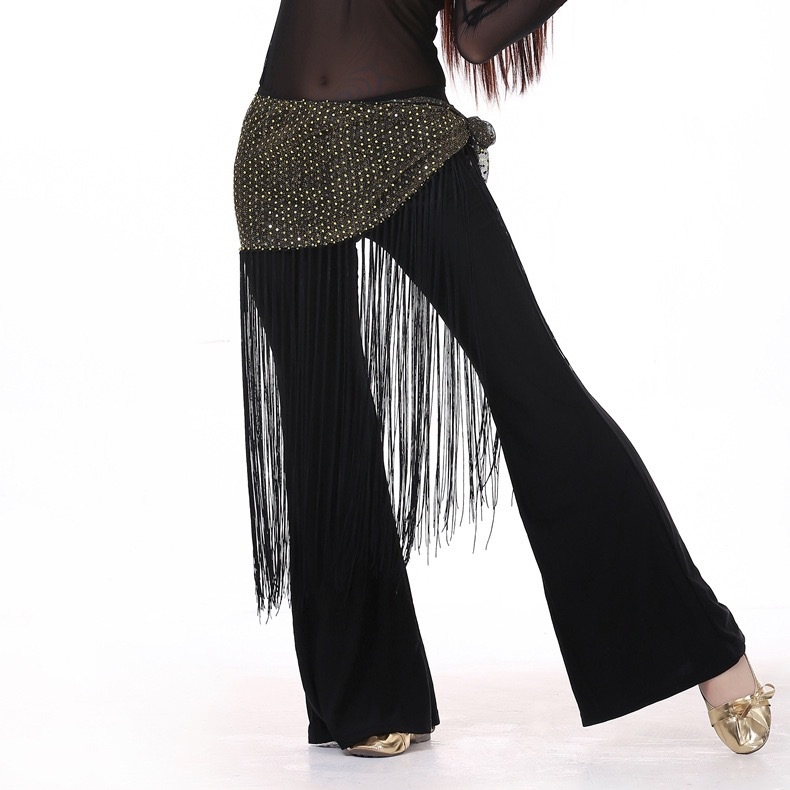 Bojasti pojas s resicama i izvezom — Indijski plesni kostim, trodijelni probni komplet, poliester tkanina