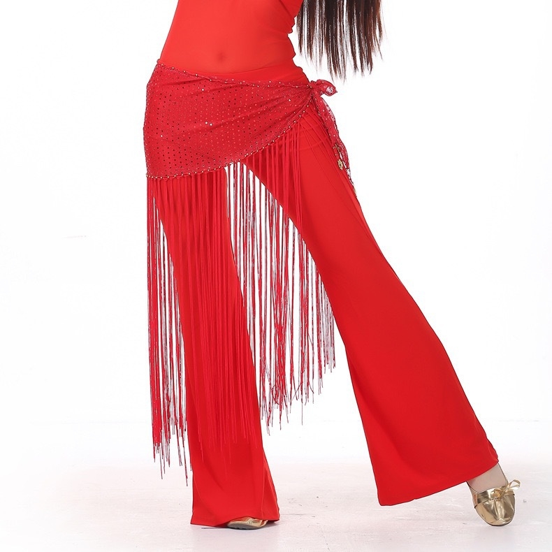 Bojasti pojas s resicama i izvezom — Indijski plesni kostim, trodijelni probni komplet, poliester tkanina