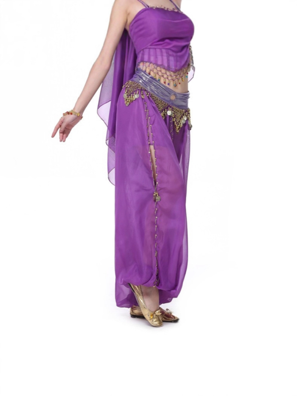 Pantalone za belly dance sa vezom, šifon tkanina, najlon mješavina 50–70% i 30–50%, lansiranje ljeto 2025, elegantan stil, street-style