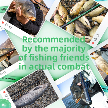 Handing No.1 5. generációs horgászbot kárászhoz, karbon nyéllel, L/M/H markolattal